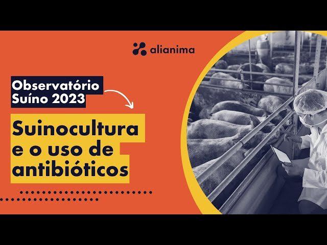 Como as empresas estão tratando o tema de uso de antibióticos na suinocultura?