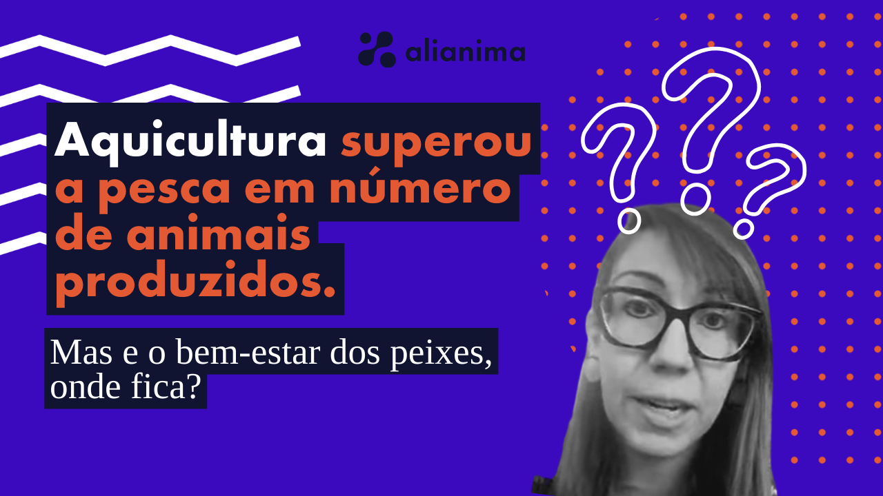 Existe bem-estar na piscicultura? 