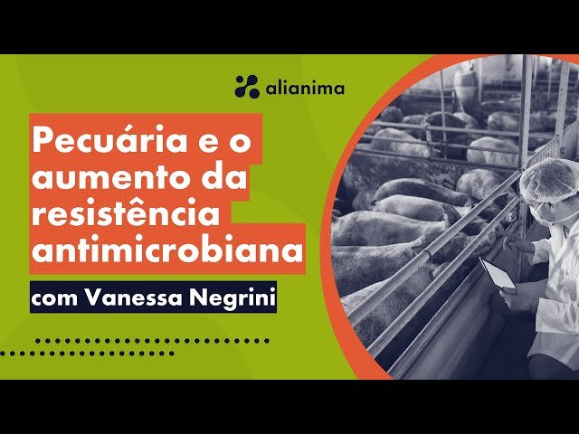 Pecuária e o aumento da resistencia antimicrobiana