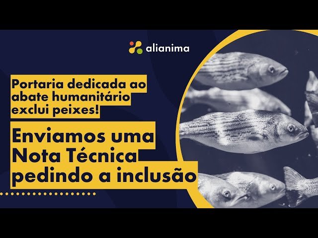 Políticas Públicas I Portaria 365/2021 - Cadê os peixes?