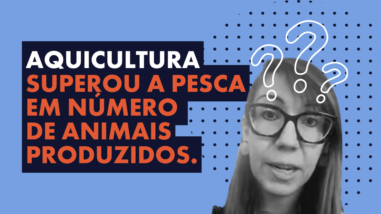 Peixes Sentem I Aquicultura superou a pesca em número  de animais produzidos