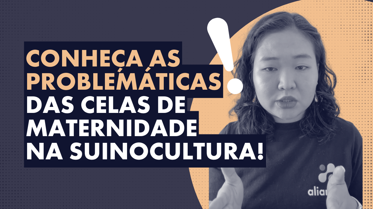 Suínos em Família |  Conheça as problemáticas das celas de maternidade na suinocultura!