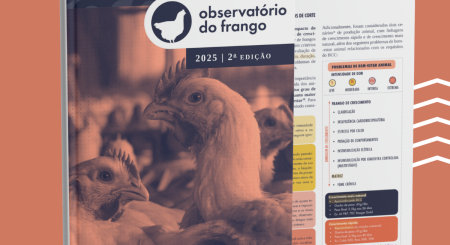 Em meio aos casos de gripe aviária, relatório destaca bem-estar animal como aliado para evitar riscos sanitários