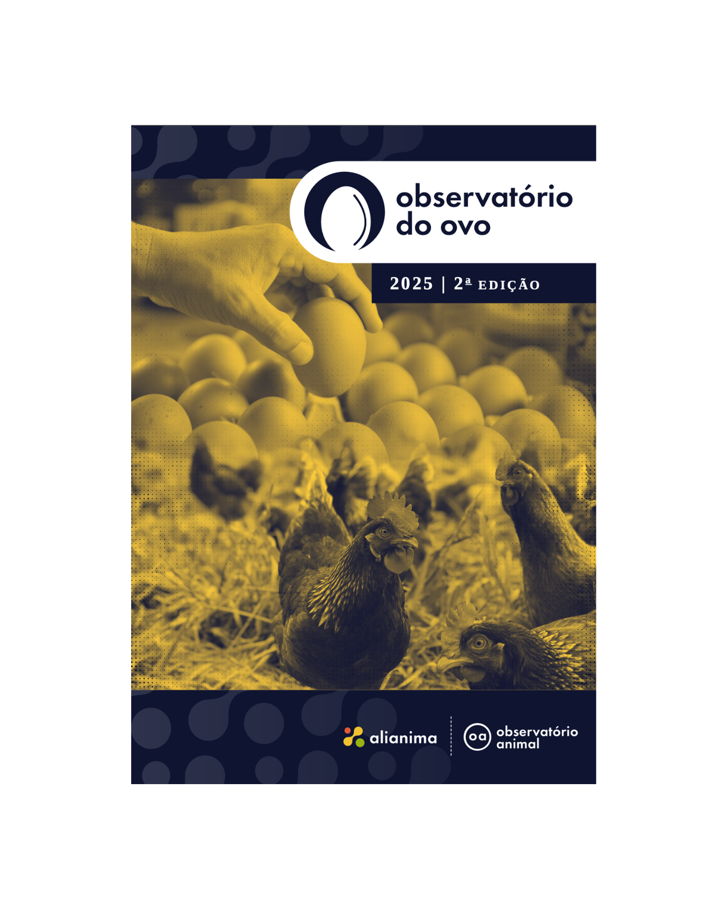 Apenas 4 de 17 supermercadistas avançam com o compromisso de ovos livres de gaiolas, aponta Observatório do Ovo