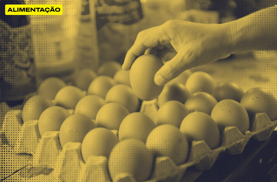 Apenas 4 de 17 redes de supermercados cumprem compromisso com ovos livres de gaiolas, aponta relatório