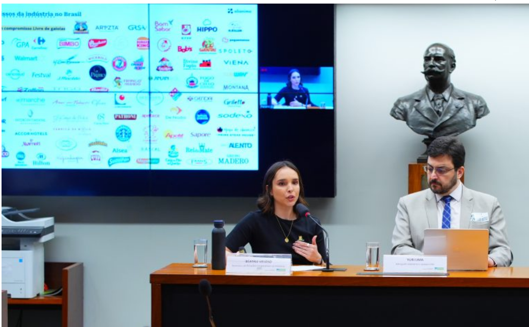 Especialistas cobram transparência na produção de alimentos de origem animal  