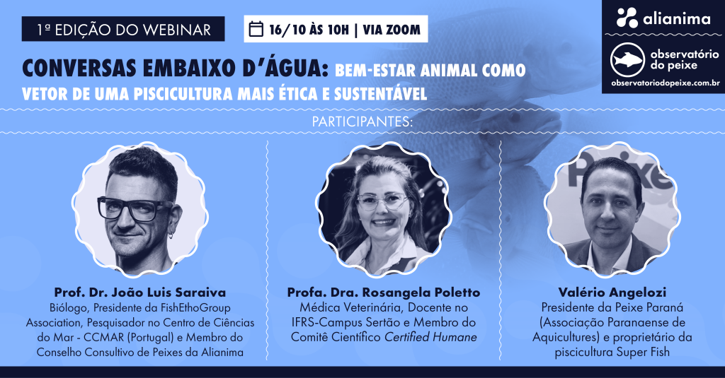 webinar conversas embaixo d'água 
