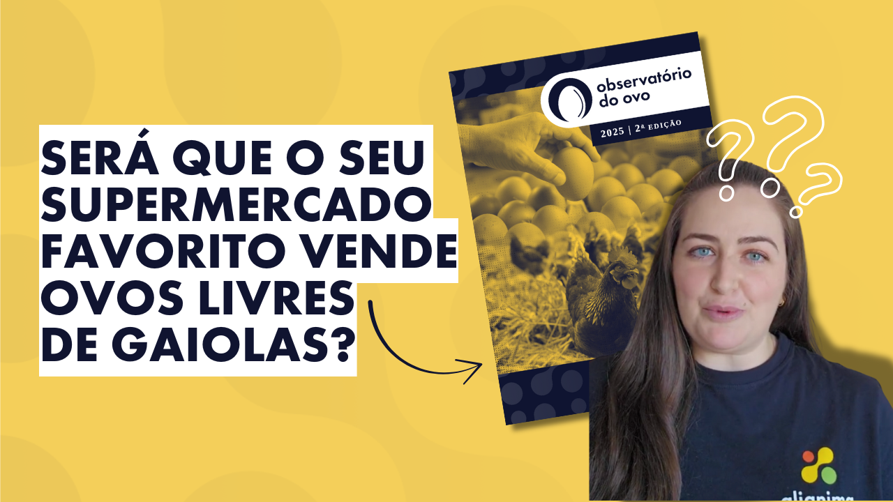 Galinhas Livres de Gaiolas 