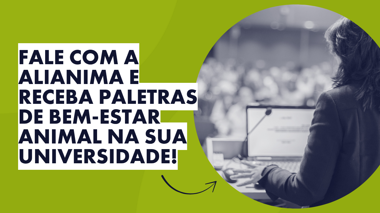 Bem-estar Animal 