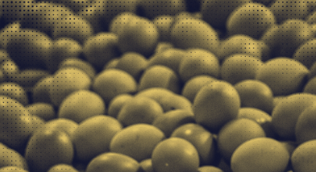 Nota técnica sobre o PL 3729/2025