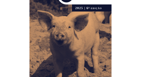 Indústria avança com compromissos de bem-estar de suínos, aponta levantamento inédito