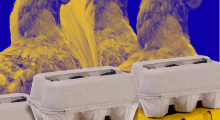 Alianima envia Nota Técnica sobre projeto que propõe transparência nos rótulos de ovos