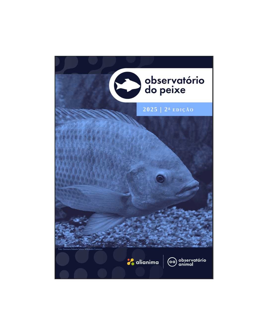 Piscicultura brasileira pode ampliar competitividade global com certificações e bem-estar animal