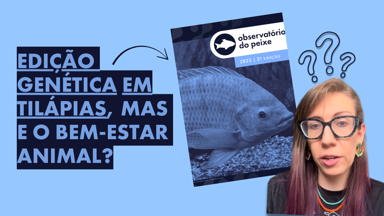 Fishes Peixes Sentem