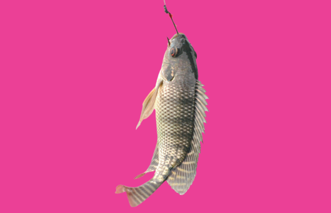 Relatório revela problemas na produção de peixes no Brasil Leia mais em: https://saude.abril.com.br/ecossistema/relatorio-revela-problemas-na-producao-de-peixes-no-brasil/ Relatório revela problemas na produção de peixes no Brasil Leia mais em: https://saude.abril.com.br/ecossistema/relatorio-revela-problemas-na-producao-de-peixes-no-brasil/