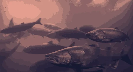 Cartilha de Bem-Estar de Salmões