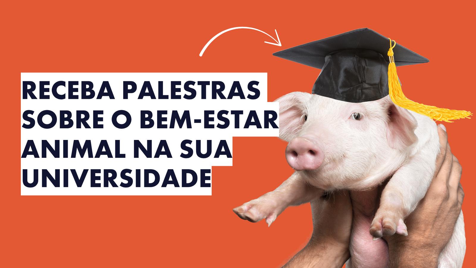 Bem-estar Animal nas Universidades Bem-estar Animal nas Universidades