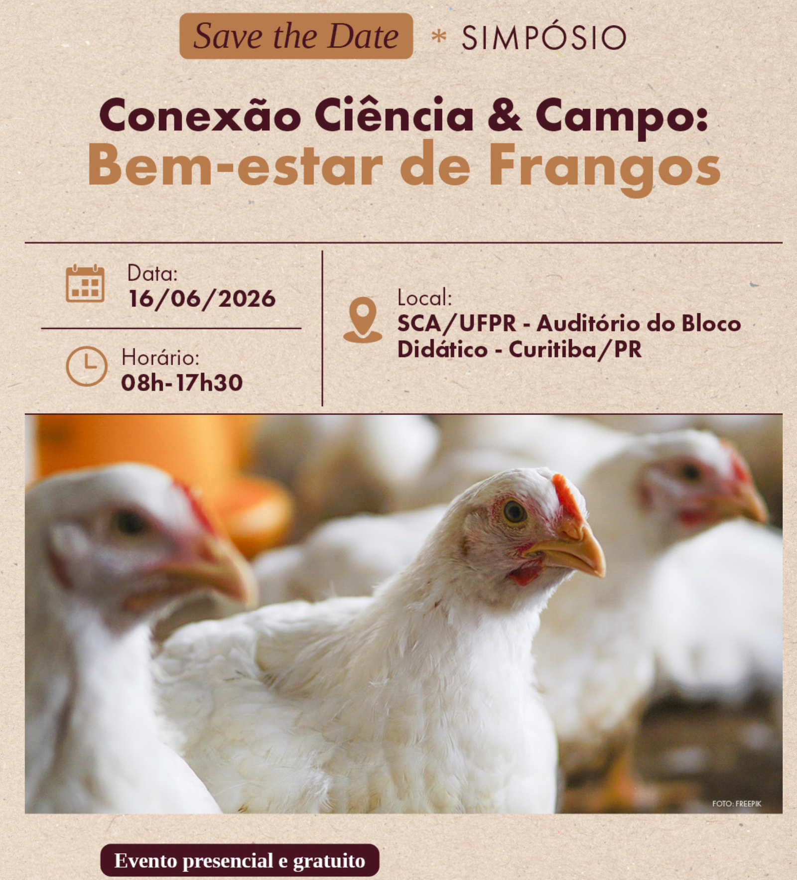 Bem-estar animal avança como agenda estratégica na produção de frangos no Brasil
