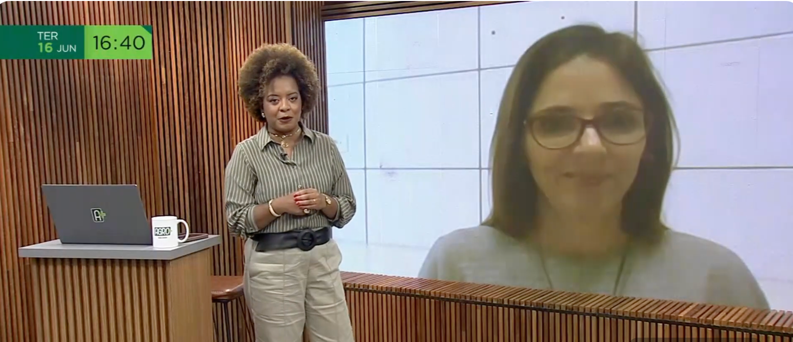 Bem-estar animal passa a ser discutido na avicultura brasileira Bem-estar animal passa a ser discutido na avicultura brasileira