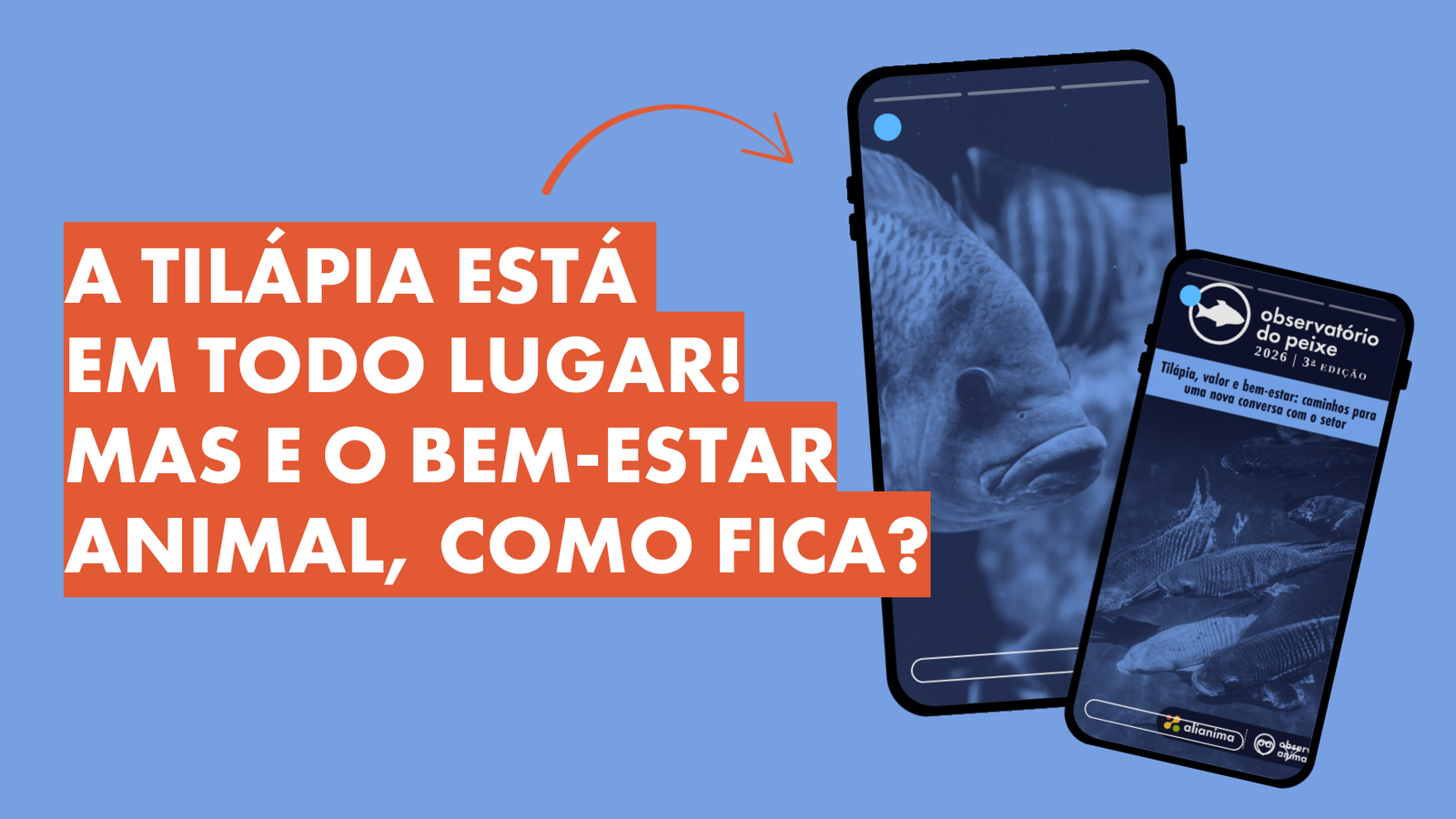 A tilapicultura brasileira cresceu (e muito!) na última década! A tilapicultura brasileira cresceu (e muito!) na última década!